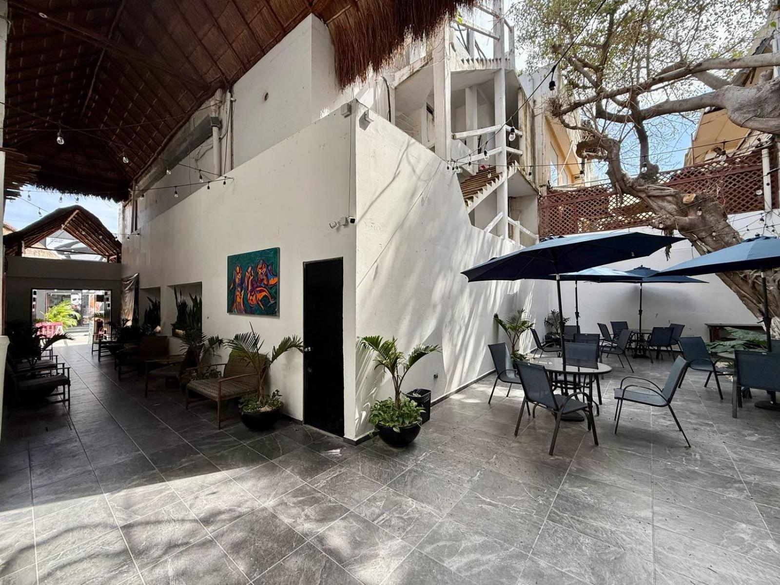 Casa Tortuga 5Th Ave Hotell Playa del Carmen Exteriör bild