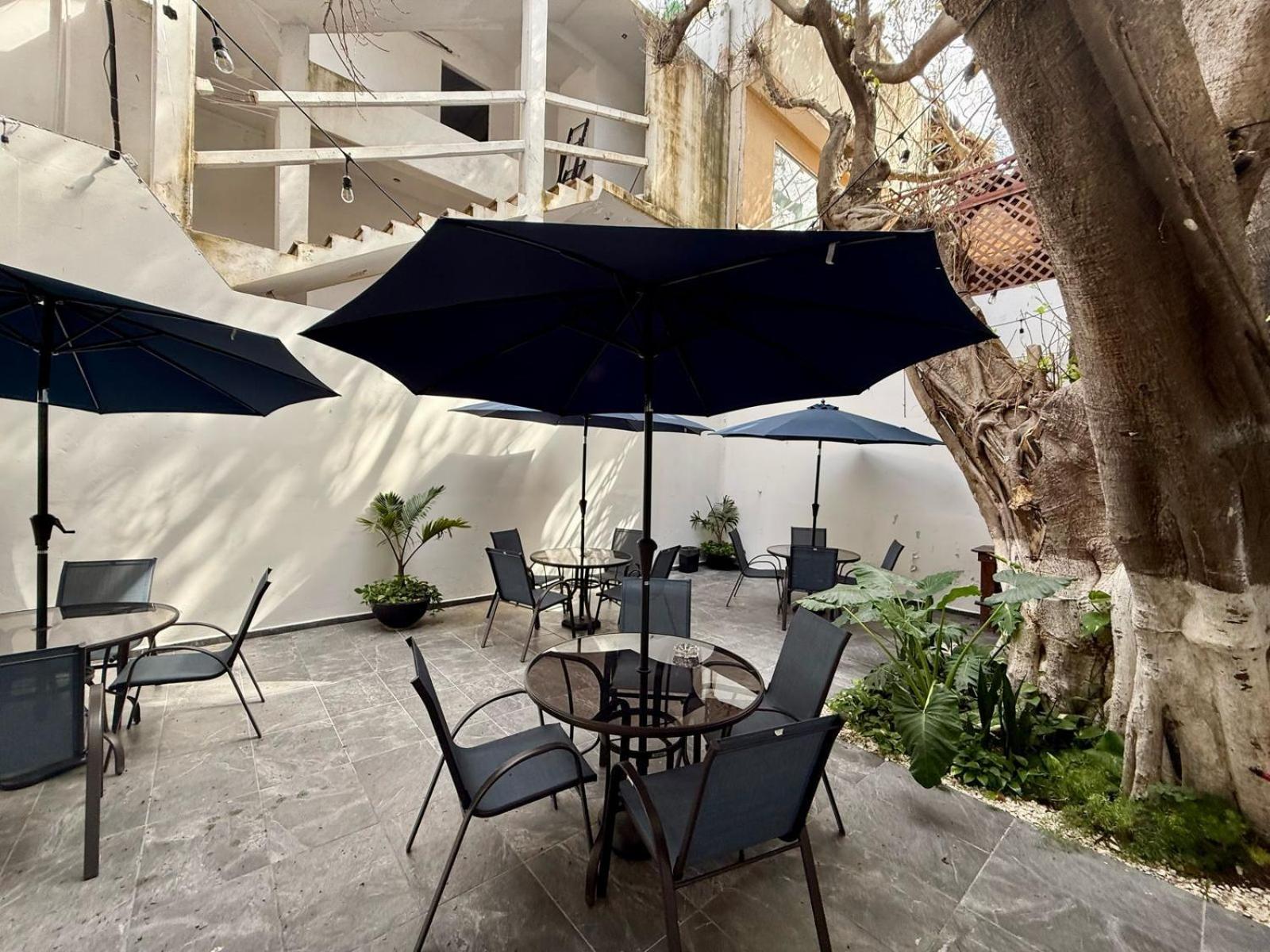 Casa Tortuga 5Th Ave Hotell Playa del Carmen Exteriör bild